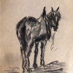 cavallo in posizione di riposo